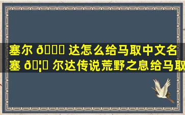 塞尔 🐘 达怎么给马取中文名（塞 🦟 尔达传说荒野之息给马取中文名）